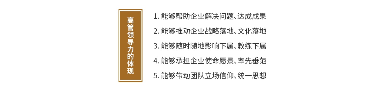 高管領(lǐng)導(dǎo)力