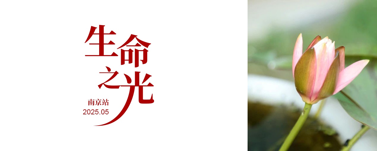 生命之光